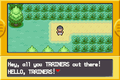 Each show is set north of Pallet Town, on Route 1.