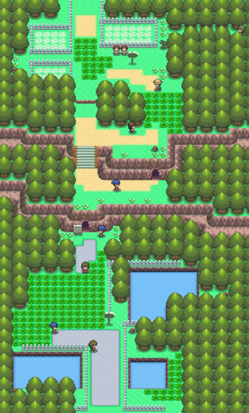 File:Sinnoh Route 204 DP.png