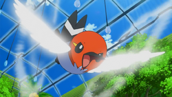 Ash Fletchling Steel Wing.png