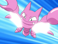 Ash Gligar Steel Wing.png