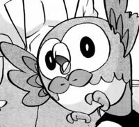 Professor Kukui's Rowlet