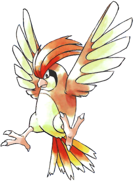 File:017Pidgeotto RB.png