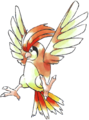 017Pidgeotto RB.png