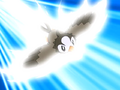 Ash Starly Quick Attack.png