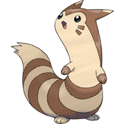 Furret (Pokémon) - Bulbapedia, the community-driven Pokémon encyclopedia