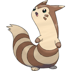 Furret real hot sale size