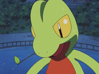 Ash Treecko giant.png