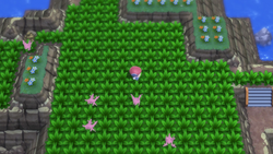 Pokémon Platinum - Swarming Pokémon