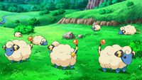 Tokuzō's Mareep