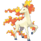 078Rapidash.png