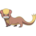 Yungoos, introduced in Generation VII