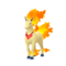 Rapidash