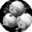 082