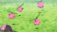 Hoppip anime.png