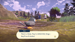 Akari and the player, looking at a Starly (a small bird Pokémon). Akari says, "There's a Starly. They're skittish little things-- they'll run if startled."