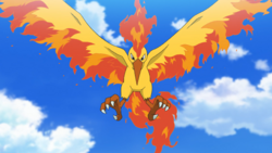 Moltres anime.png