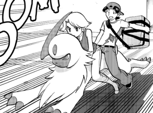 Absol Adventures.png
