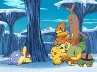 Ice Floe Beach - Bulbapedia, the community-driven Pokémon encyclopedia