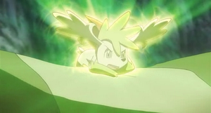 Shaymin Sky Aromatherapy.png