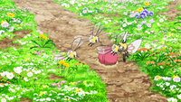 Aether Paradise Cutiefly Ribombee.png