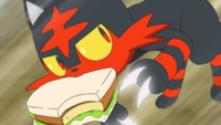 Ash Litten Fury Swipes.png