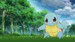 Blue Squirtle PO.png