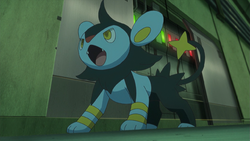 Luxray Vision!, Pokémon Wiki