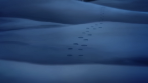 Footprints HIS1.png