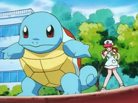 Nurse Joy's Squirtle