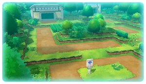 Kanto Route 2 PE.png