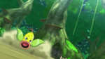 Ramos Weepinbell Chlorophyll.png