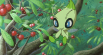 Celebi: Voice of the Forest