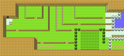 Kanto Route 4 GSC.png