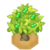 RindoTreeBerryVI XY.png