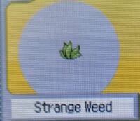 Strange Weed (Pokemon Ranger).jpg