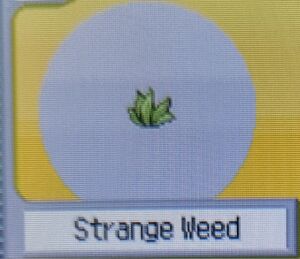 Strange Weed (Pokemon Ranger).jpg