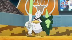 Farfetch'd, Wikia Pokémon Go