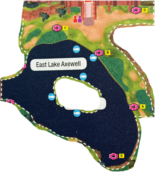 File:Galar East Lake Axewell dens SwSh.png