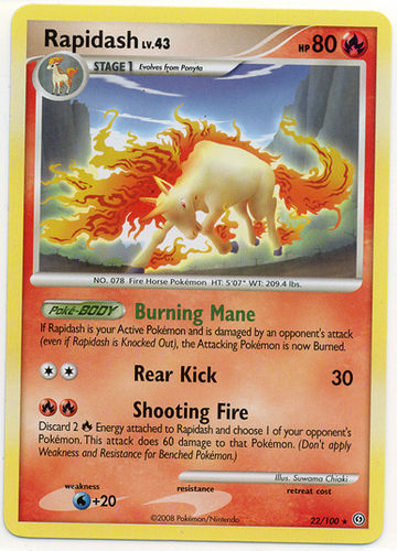 Rapidash (Stormfront 22) - Bulbapedia, The Community-driven Pokémon ...