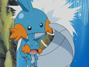 AG025 - A Mudkip Mission