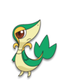495Snivy BW anime 3.png
