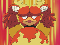 Ace Trainer's Magmar