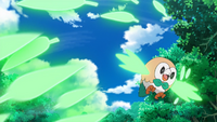 Ash Rowlet Leafage.png