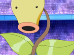 Mulberry City Bellsprout.png