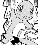 Oak Charmander M20 manga.png