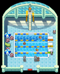 Cerulean City Gym