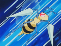 Jeanette Fisher's Beedrill