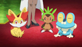 The Kalos region starter Pokémon in the anime