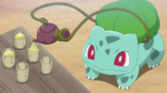 Roy hometown Bulbasaur.png