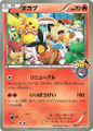 ポカブ Tepig promo card